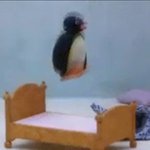 [드루와] +) 나 눈화장 봐줄사람!! 사진ㅇ