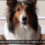 유튜브 <b>왕언니</b> 쇼핑몰..?!