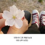 [꼭댓글부탁] <b>후폭풍</b>왔는데 프사 이걸로 할까요?