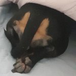 우리애기 응<b>댕이</b> 볼사람