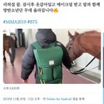[댓글부탁해] <b>MMA</b>에 말 나오는 거 진짜야?