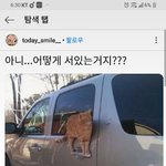 [댓글부탁해] <b>day</b>
