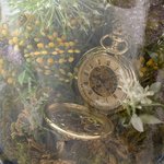 [김재환] 스포 나만 못찾고 ㅠㅠ