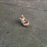 엑스원 ㅈ  ㄴ의문인 점