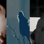 [시우민] 12월의 시우민 꾹기단의 분열?