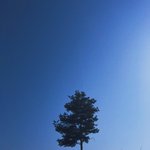 [댓글부탁해] 고딩들아 너넨 <b>영단</b>어 하루에 몇개 외우냐