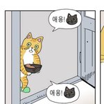 [댓글부탁해] 야들아 패딩 색 추반좀!!!!
