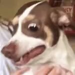 [드루와] 이거 영상 아는사람