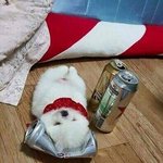 [프듀<b>X</b>] 이거 이유 첨 앎 ㅋㅋㅋ