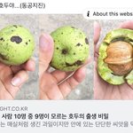 [프듀<b>X</b>] 이거 나만 처음 알았어..?