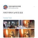 [모두드루와] <b>야채</b>가게에서 눈에 띈 광경