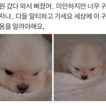 [드루와] 이런사람들 대체 뭐냐 ㅋㅋㅋㅋ