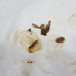 맥도날드 <b>더블</b>불고기버거세트에서 이게 뭔가요?