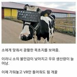 [모두드루와] 신개념 소 목장