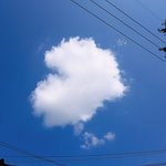 <b>담</b>에도