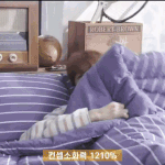 [강다니엘] 공카!