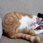 [모두드루와] <b>주인</b>님 그리워하는거래 ㅜㅠ