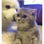 [모두드루와] <b>귀</b><b>욥</b>다