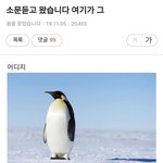 [드루와] 나 틱톡하는데