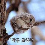 연애운, 토정비결 공짜로 볼 수 있는 곳. <b>낚시</b>아님