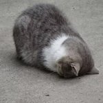 아니 고딩한테 <b>ucc</b>를 왜