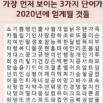 [댓글부탁해] <b>대게</b> 망고 애인