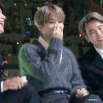 방탄 글)멜뮤 애옹이 봄?