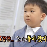 <b>슈돌</b> 새 가족