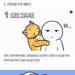 [댓글부탁해] 고양이 <b>해석</b>