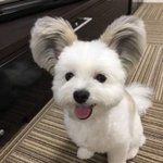 [드루와] 야 <b>펜팔</b> 말 어케 이어...