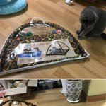 [댓글부탁해] 고양이 모빌 <b>텐트</b> 후기