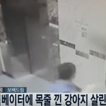 [모두드루와] 엘리베이터에 <b>목줄</b> 낀 강아지 살린 택배기사