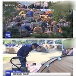 [모두드루와] 한강공원 텐트 <b>단속</b> (토나옴)