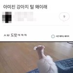 <b>도랏</b> ㅋㅋㅋㅋㅋㅋㅋㅋㅋㅋ