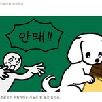 [모두드루와] 강아지에게 초콜릿만큼 위험한 생활<b>용품</b>