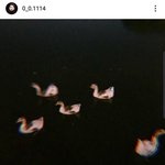 전 프리스틴 <b>시연</b> 인스타글 올림