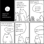 [모두드루와] 이거 슬프다