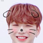 [강다니엘] 강다니엘 공카출<b>첵</b> (υ·•︠ܫ•︡ υ)