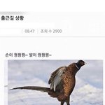 [모두드루와] 내일 출근길 상황이래