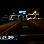 [댓글부탁해] 혐) 고속도로 댕댕이 로드킬..