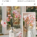 20대 <b>초반</b> 친구 선물 모주지