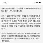 유기묘 <b>입양</b>한 연예인