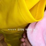 리사랑 지수 <b>동물</b>옷 입고 출국