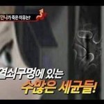겨울<b>왕국</b> 여기에 나왔었네