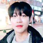 금동이 브이로그 봤냐