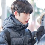 [드루와] <b>뒷면</b>에 나무모양 없으면 무조건 위조표야??