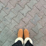 [드루와] 오늘 내 신발 넘 기<b>요오</b>