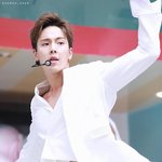 <b>셔누</b> 털 개섹시해 ㅁㅊ