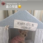 [EXO] 면<b>스토리</b> 별이 진짜 오랜만에 본다 귀엽ㅠㅠㅠ