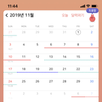 와 나 생리주기 개<b>일정</b>함